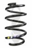 SPIDAN 86467 Coil Spring